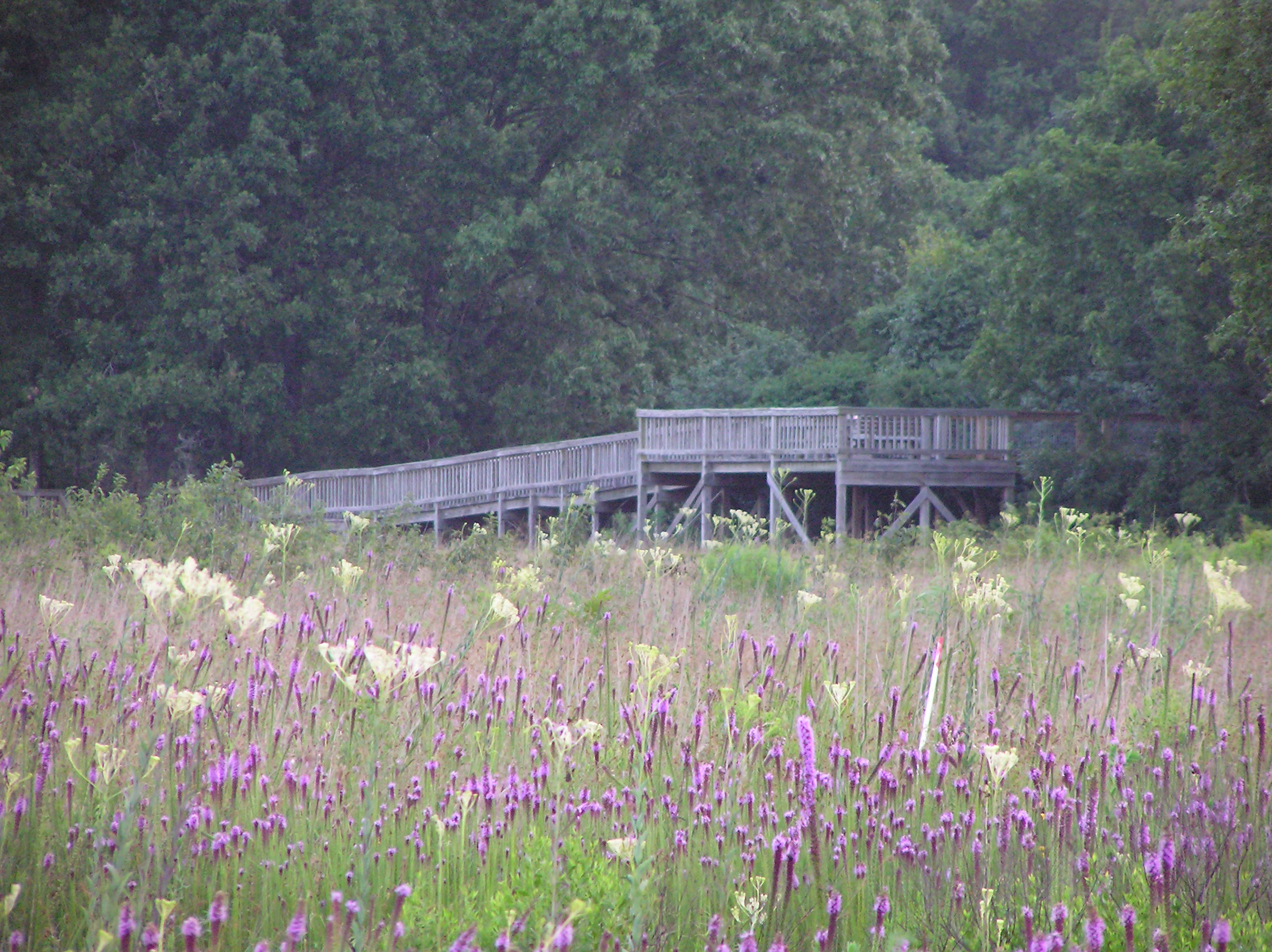 Photo 6 from ARMAND BAYOU NATURE CENTER INC